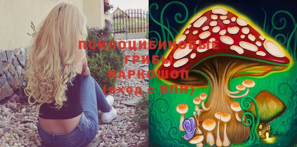 твердый Волосово