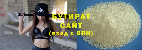амф Снежногорск