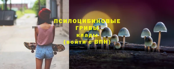дживик Володарск