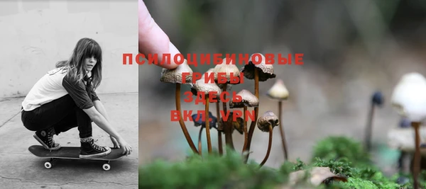 кристаллы Вяземский