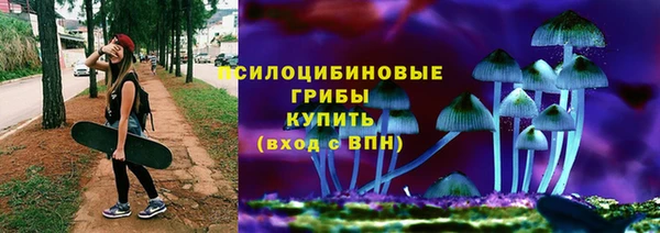 кристаллы Вяземский