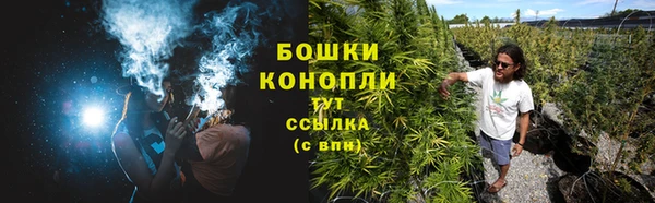 дживик Володарск